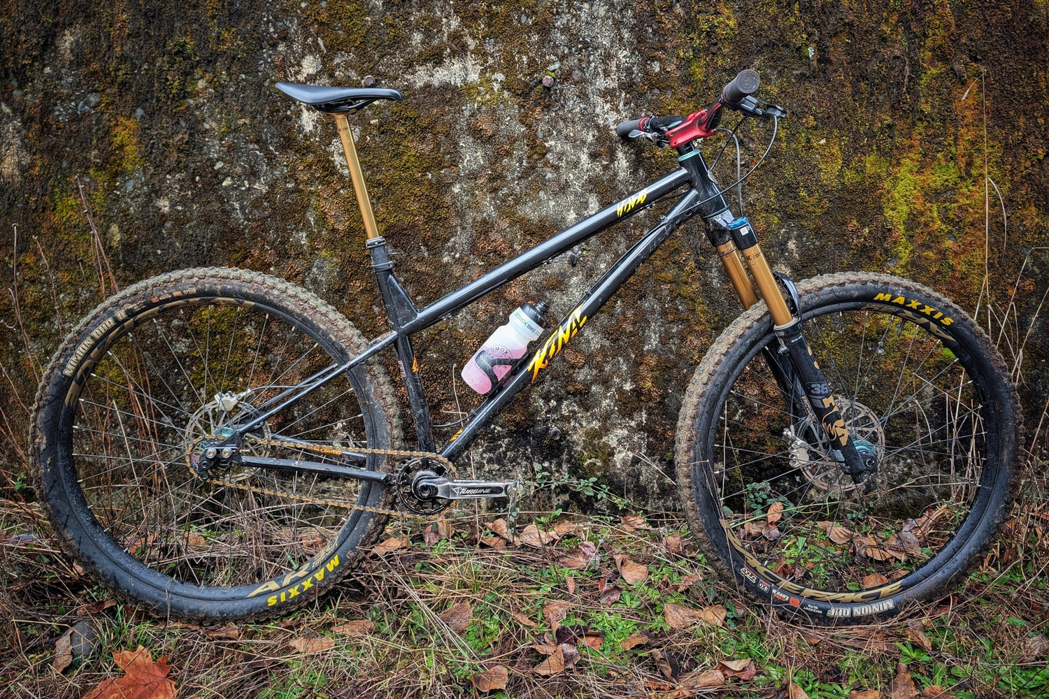 Kona Dream Builds: David's Single Speed Honzo ESD