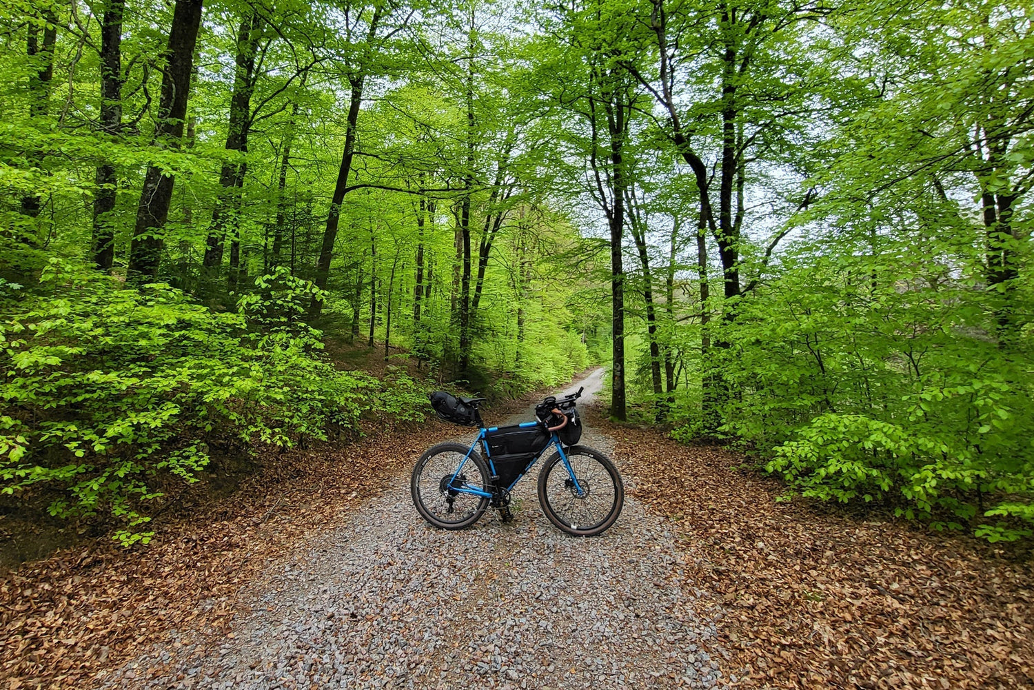 Kona UnPacked: Olle Mølgaard Bang's 2022 Kona Rove DL
